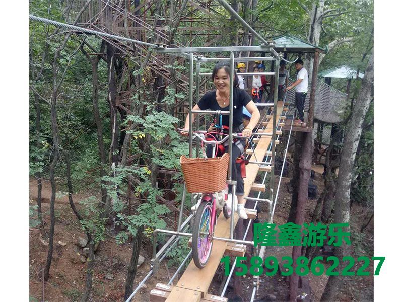 空中自行車(chē)